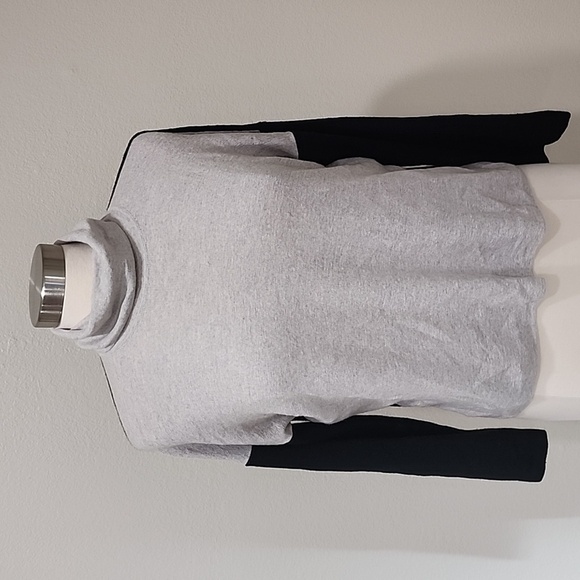 Eileen Fisher Turtleneck Merino Wool Boxy Fit Relaxed Shoulder Color Block sz XS - Picture 1 of 4